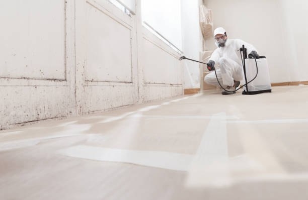 24/7 Emergency Mold Remediation experts in Linden, TX
