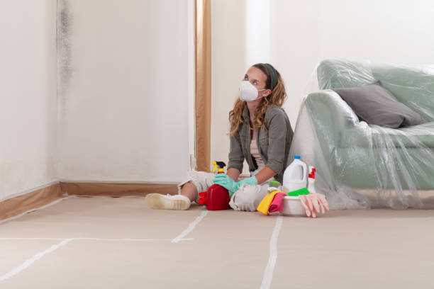 Reliable Mold Remediation contractor in Linden, TX by 24 Hour Mold Removal